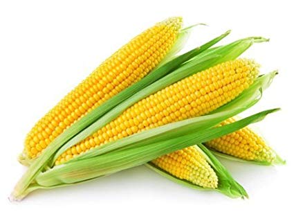 Corn Seeds Market by Market Data Forecast